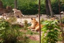 Thumbs/tn_IMG_4415.jpg